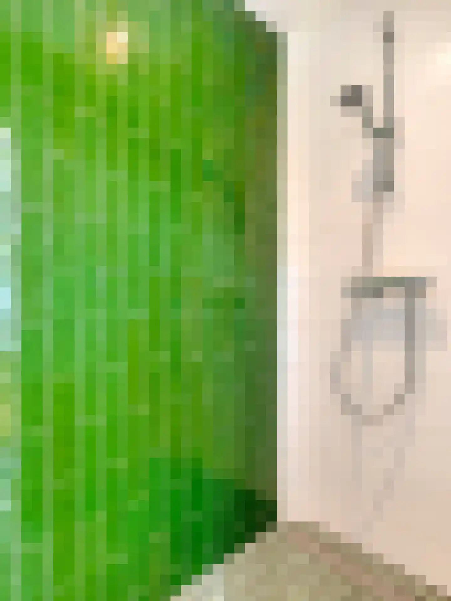 Jaffastraat 74 Utrecht thumbnail 22