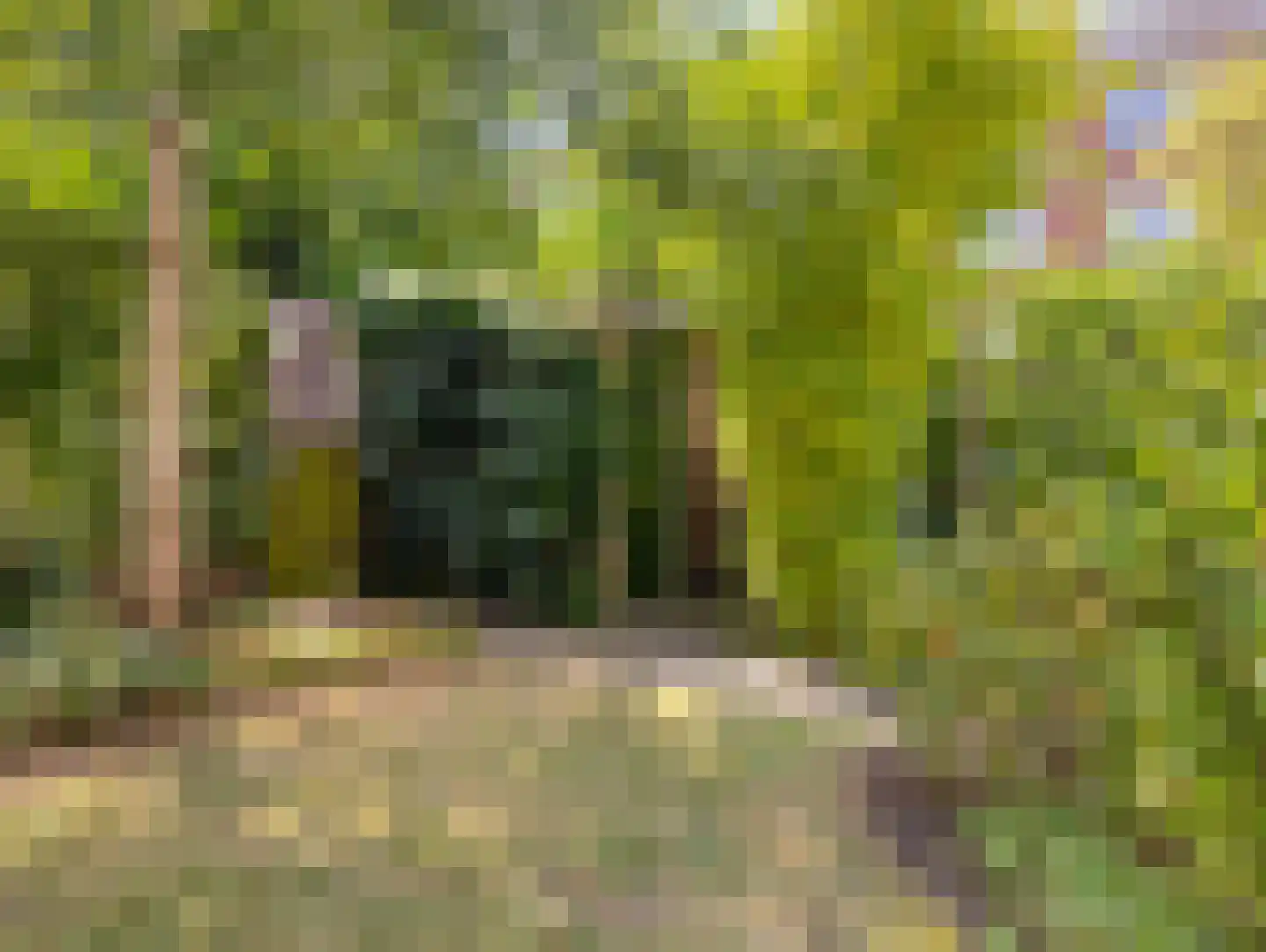 Jaffastraat 74 Utrecht thumbnail 29