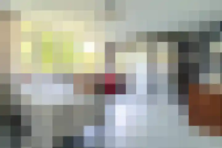 Jagerakker 29 Koog aan de Zaan thumbnail 13