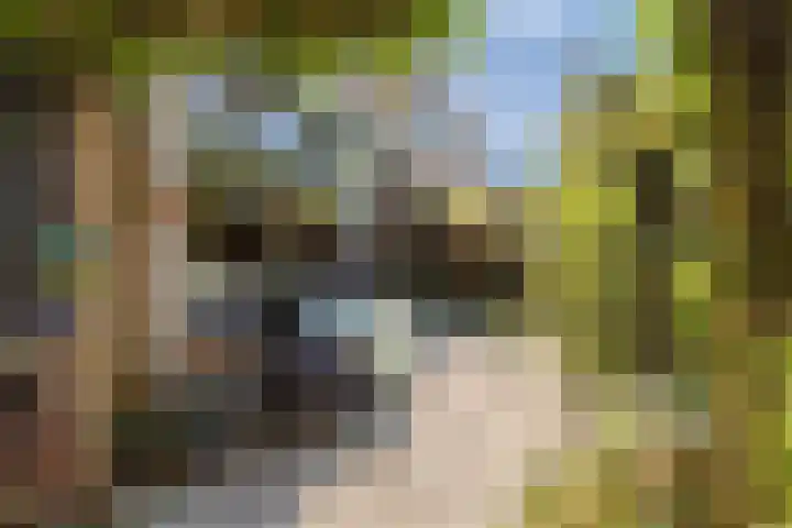 Jagerakker 29 Koog aan de Zaan thumbnail 20