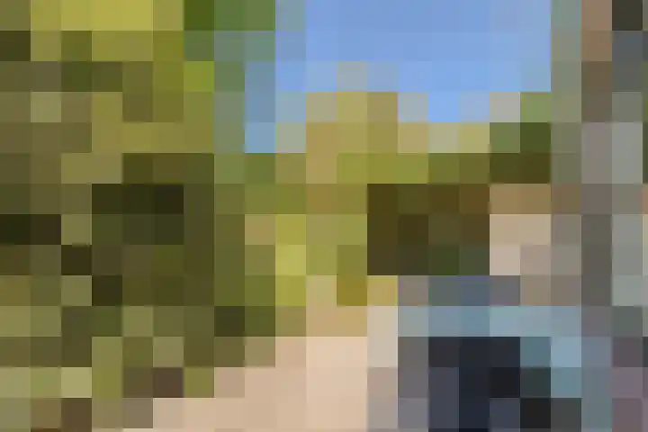 Jagerakker 29 Koog aan de Zaan thumbnail 21
