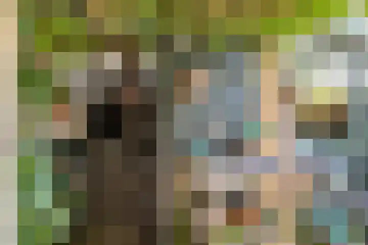 Jagerakker 29 Koog aan de Zaan thumbnail 22