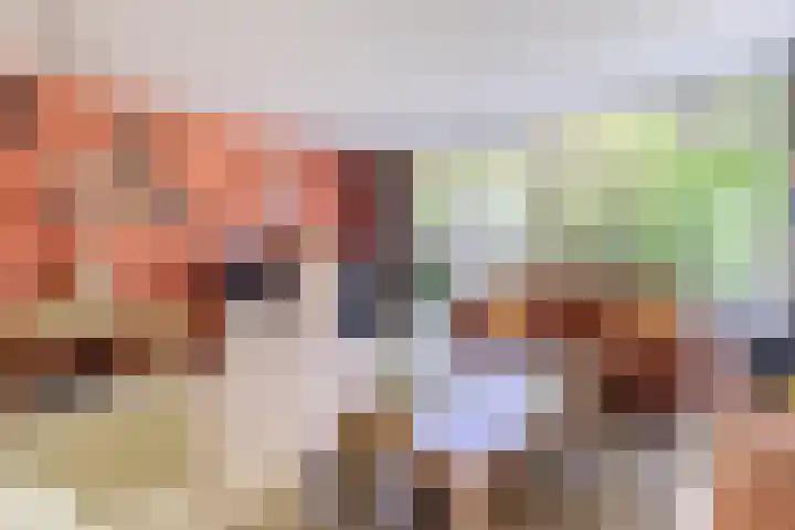 Jagerakker 29 Koog aan de Zaan thumbnail 4
