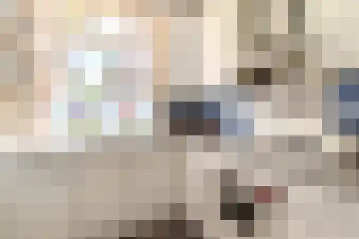 Jagerakker 29 Koog aan de Zaan thumbnail 7