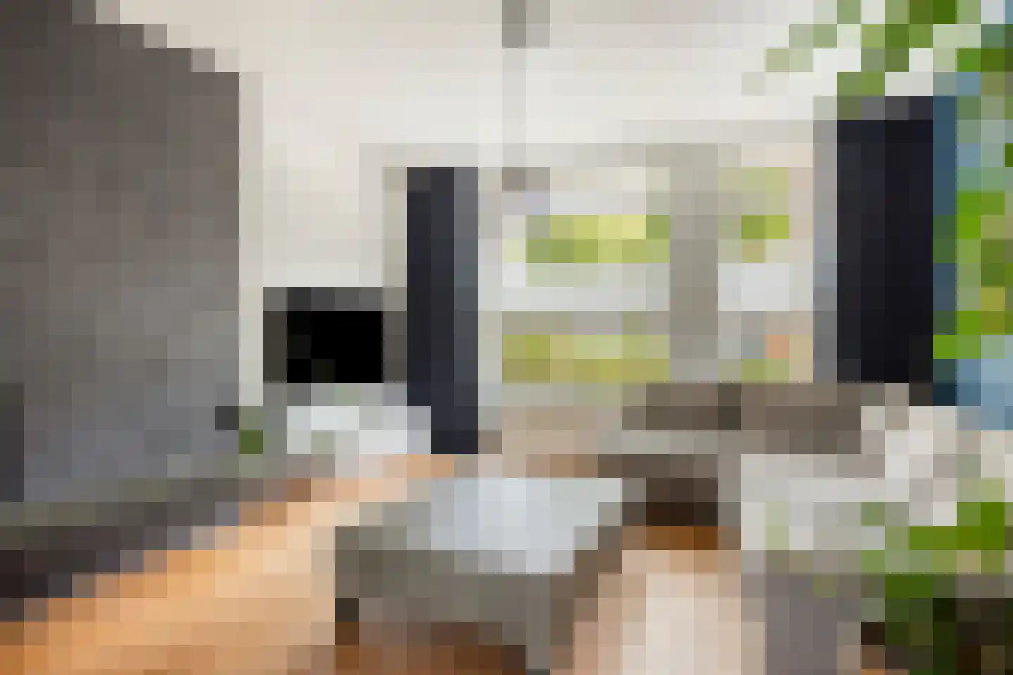 Jagerbal 20 Best thumbnail 11