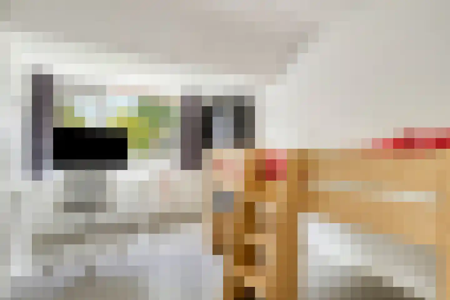 Jagerbal 20 Best thumbnail 24