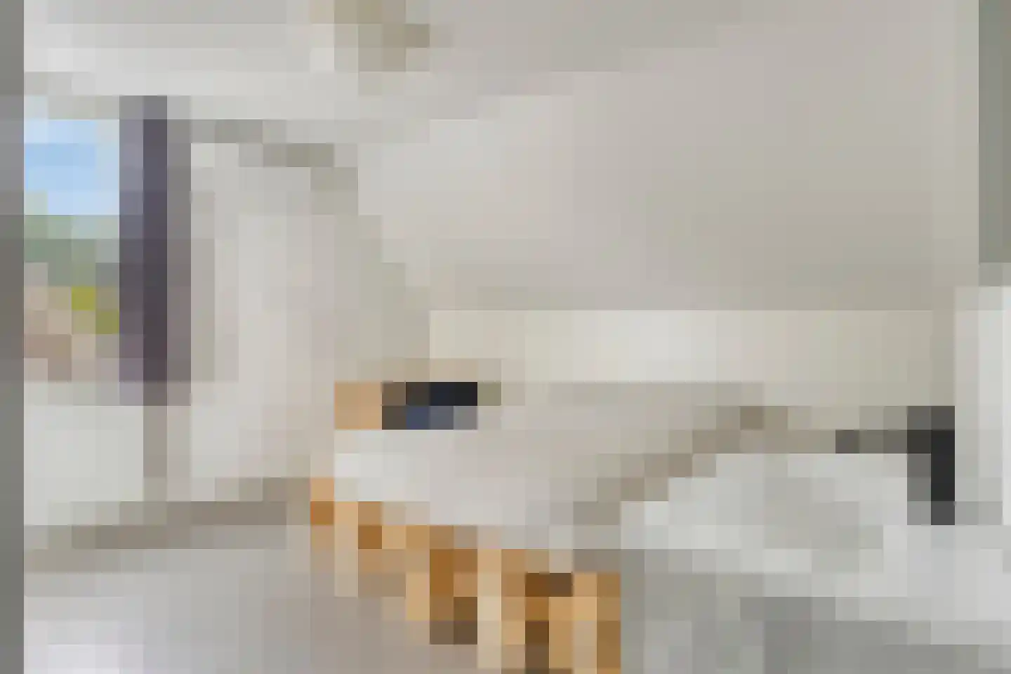Jagerbal 20 Best thumbnail 25
