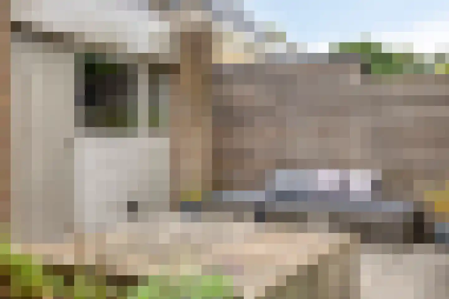 Jagerbal 20 Best thumbnail 33