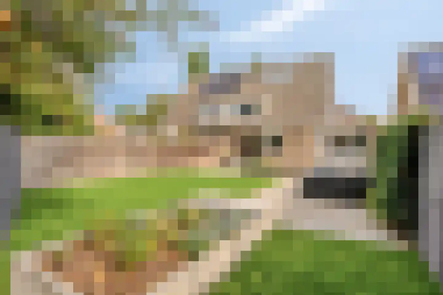Jagerbal 20 Best thumbnail 35