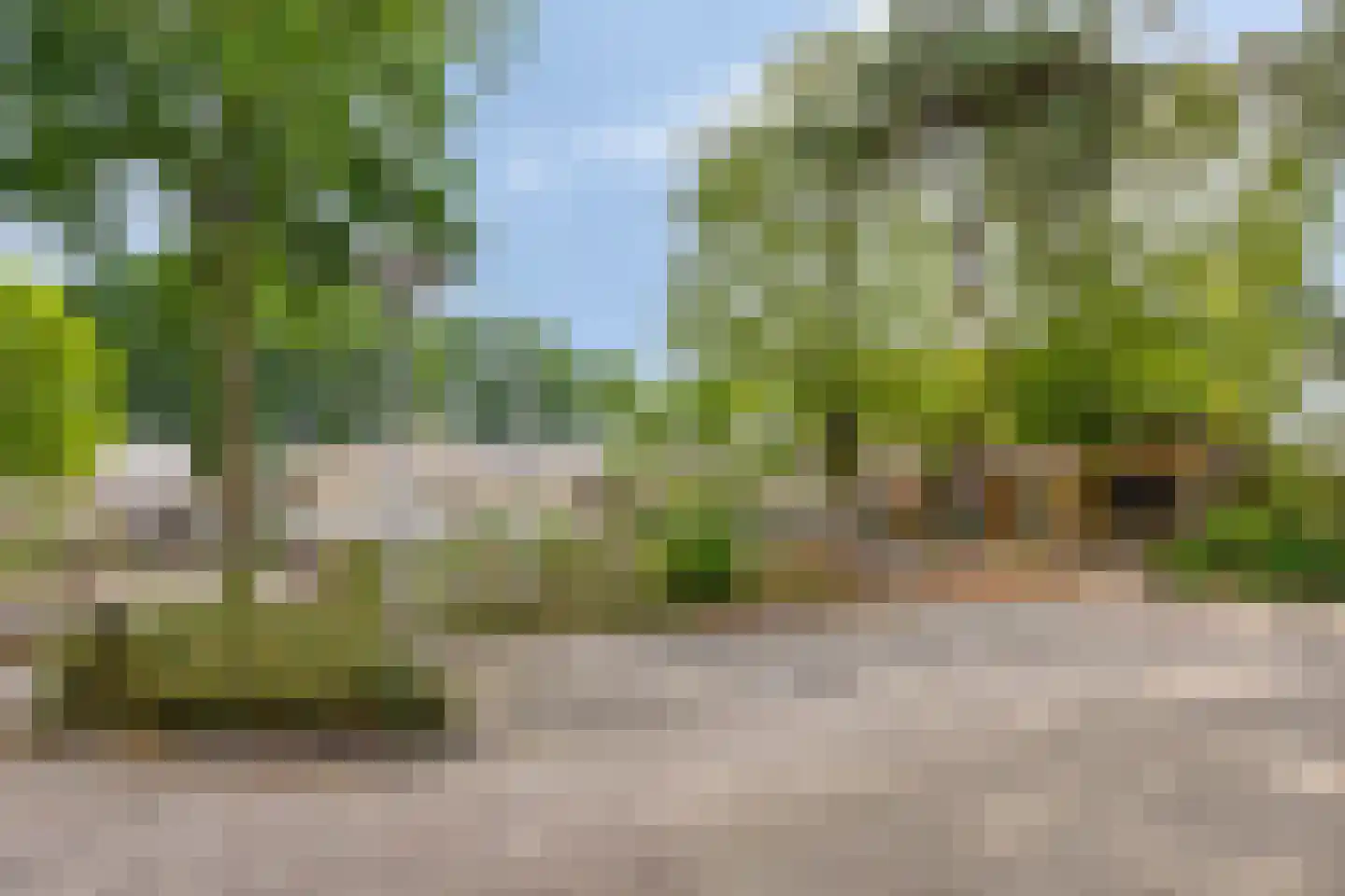 Jagerbal 20 Best thumbnail 39