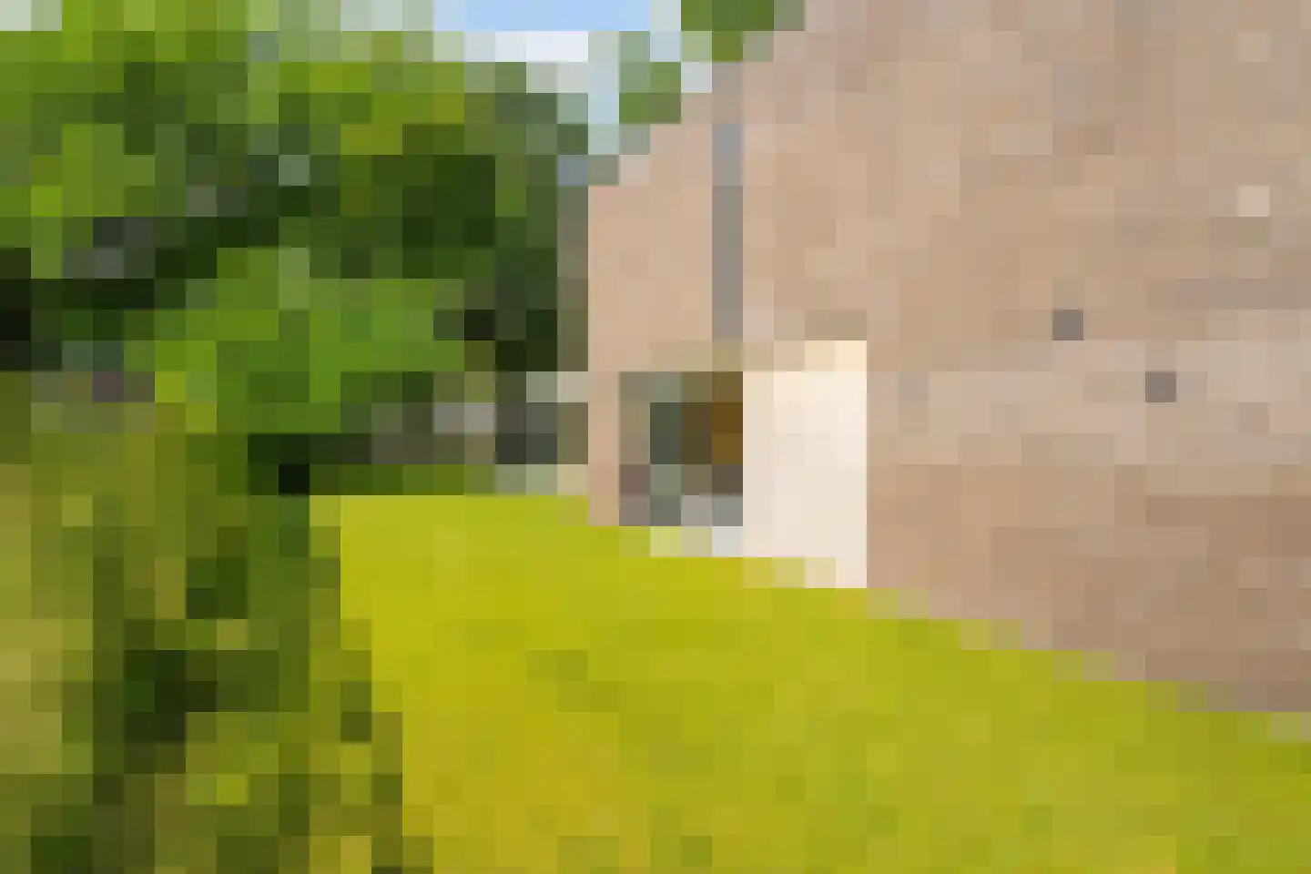 Jagerhof 2 Weert thumbnail 35