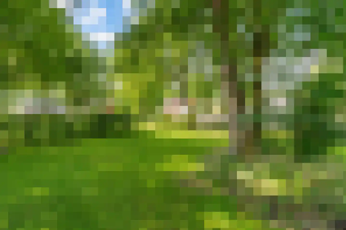 Jagerhof 2 Weert thumbnail 36