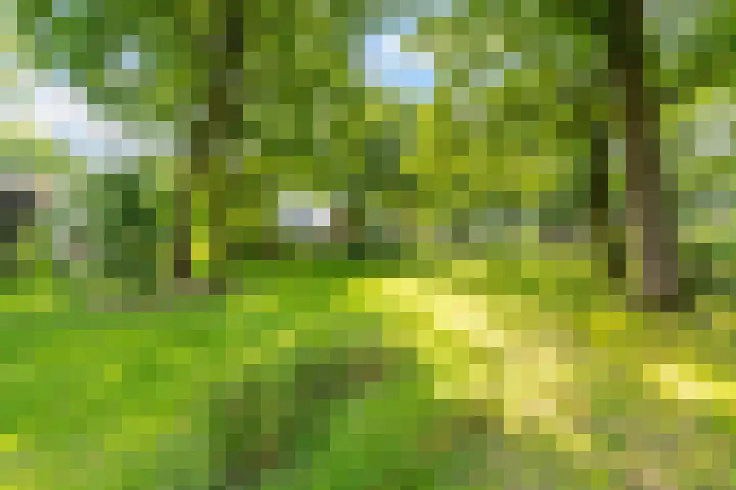 Jagerhof 2 Weert thumbnail 37