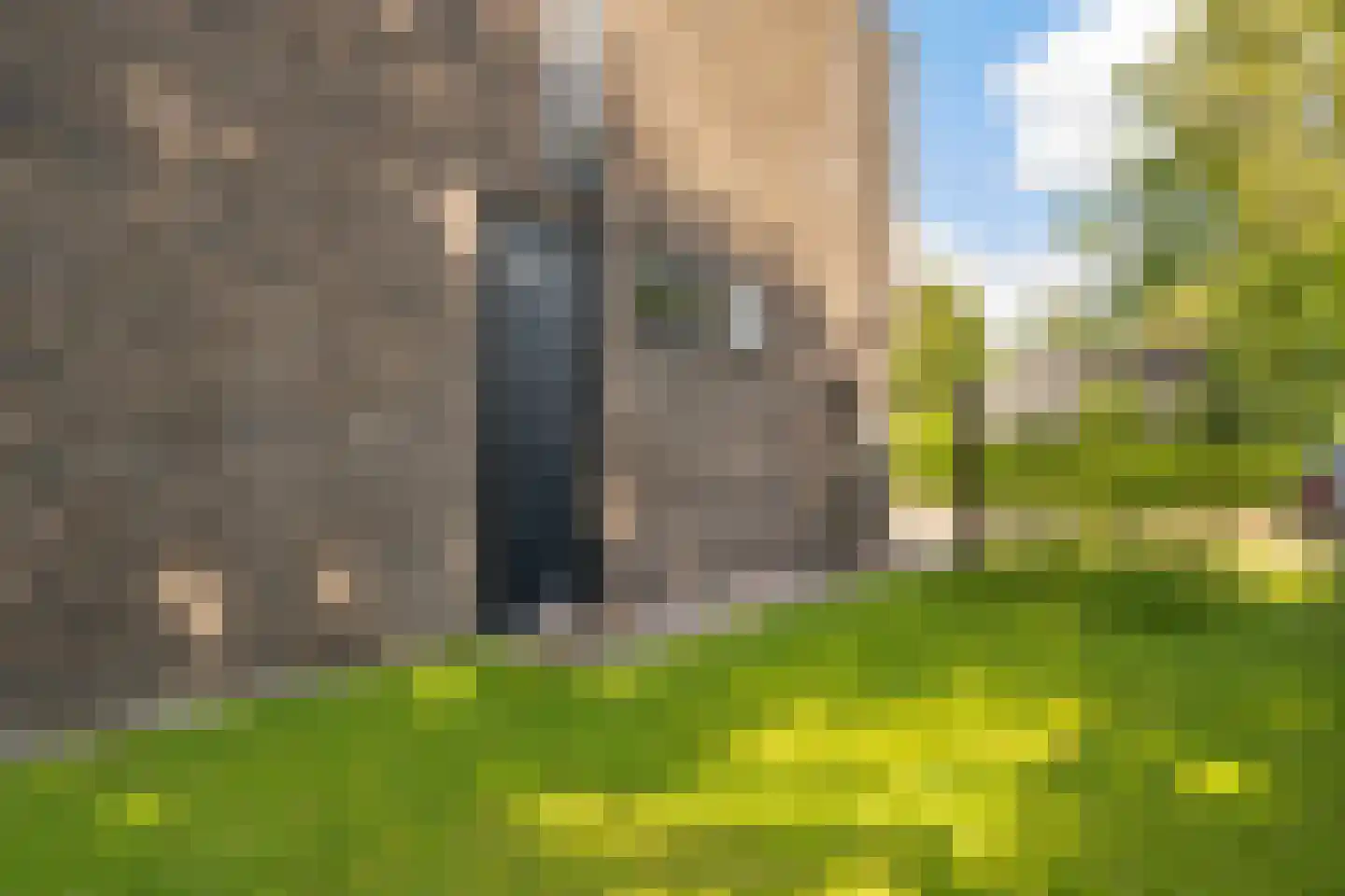 Jagerhof 2 Weert thumbnail 39