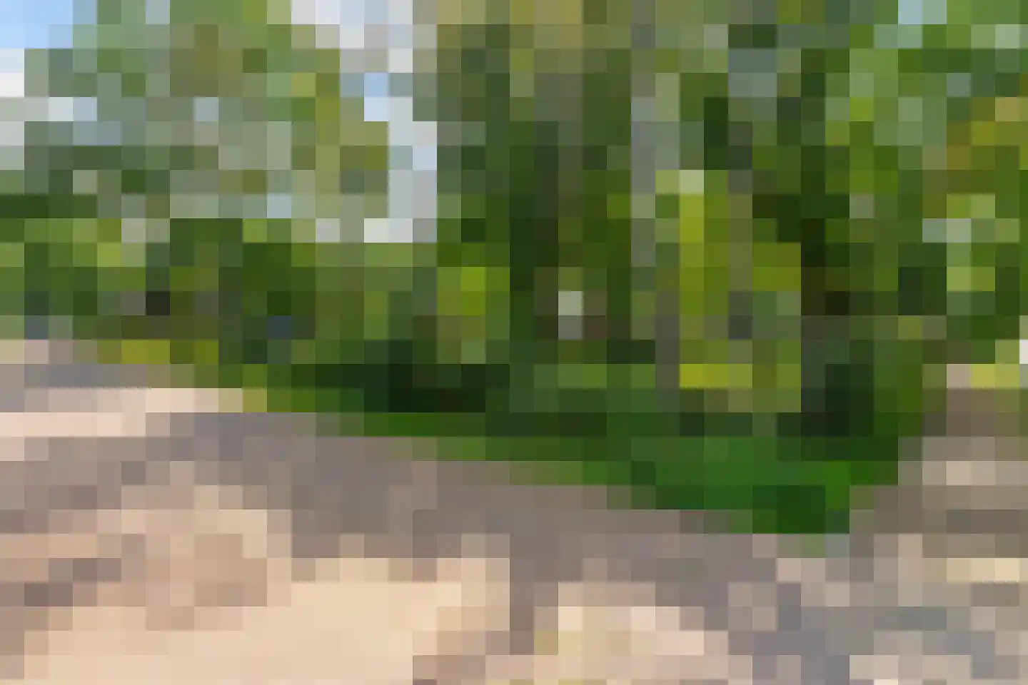 Jagerhof 2 Weert thumbnail 43