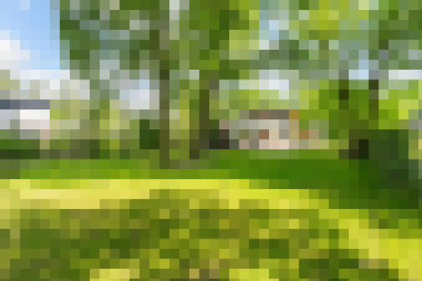 Jagerhof 2 Weert thumbnail 44
