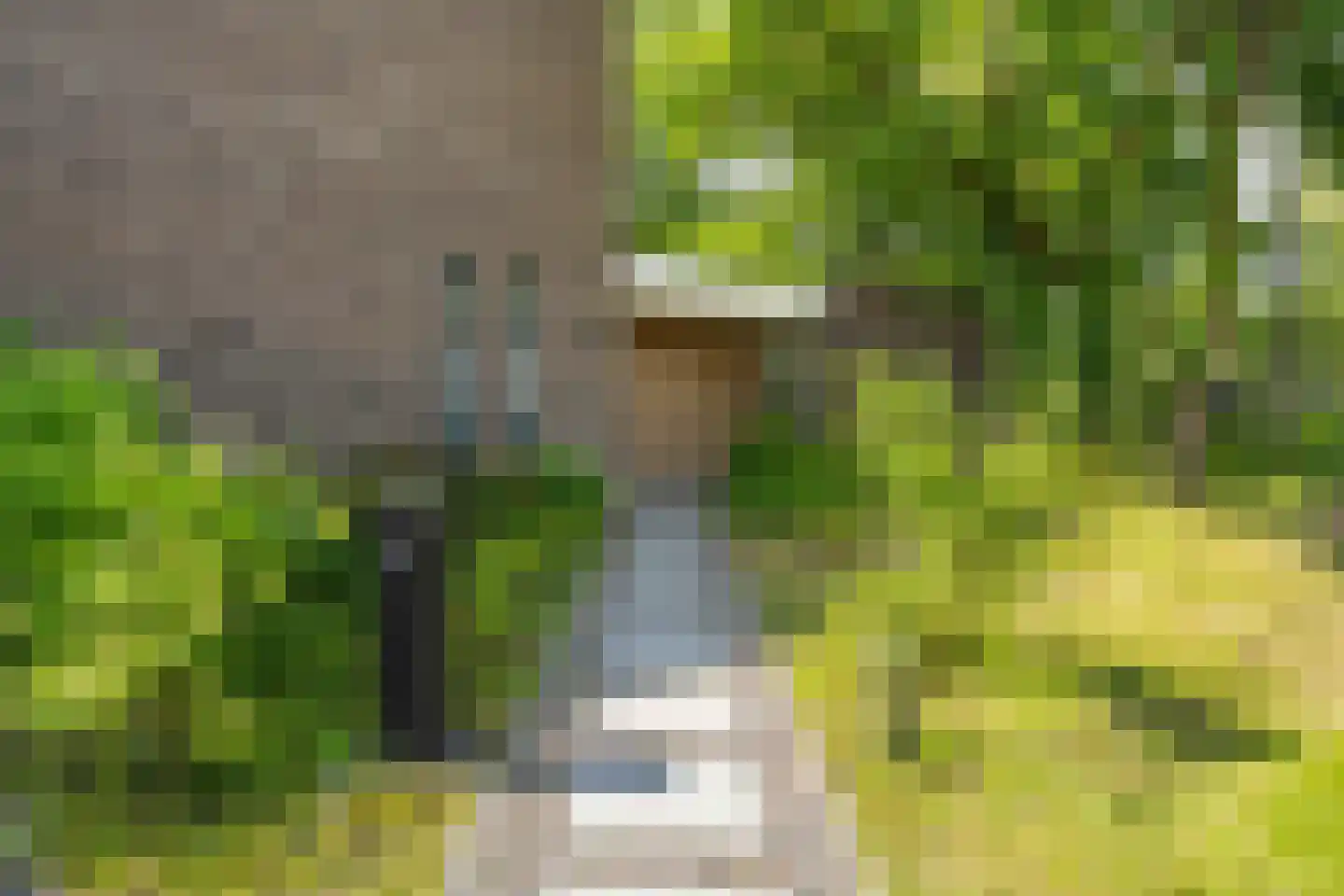 Jagerhof 2 Weert thumbnail 8