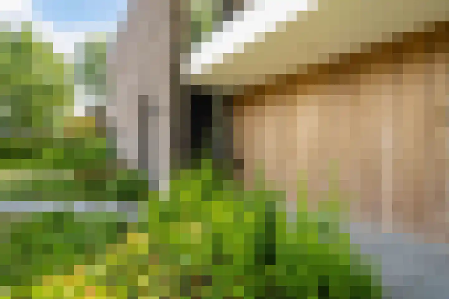 Jagerhof 2 Weert thumbnail 9