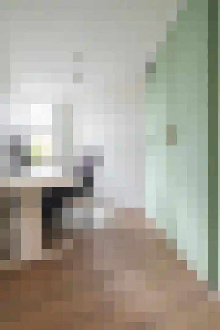 Jagerlaan 25 Zeist thumbnail 12