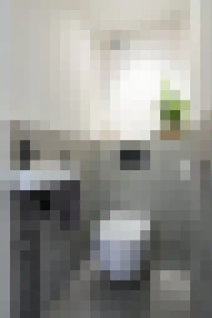 Jagerlaan 25 Zeist thumbnail 16