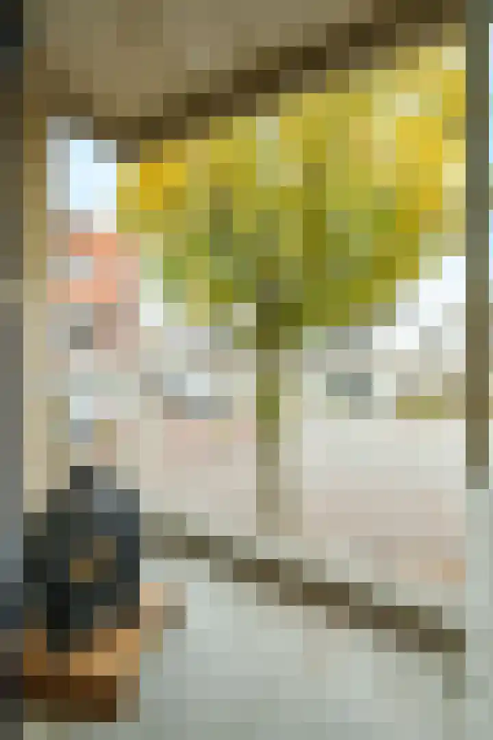 Jagerlaan 25 Zeist thumbnail 17