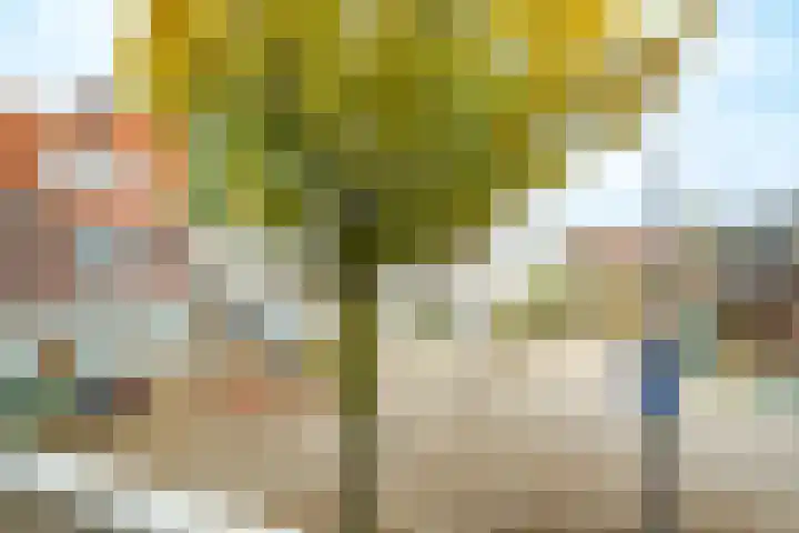 Jagerlaan 25 Zeist thumbnail 18