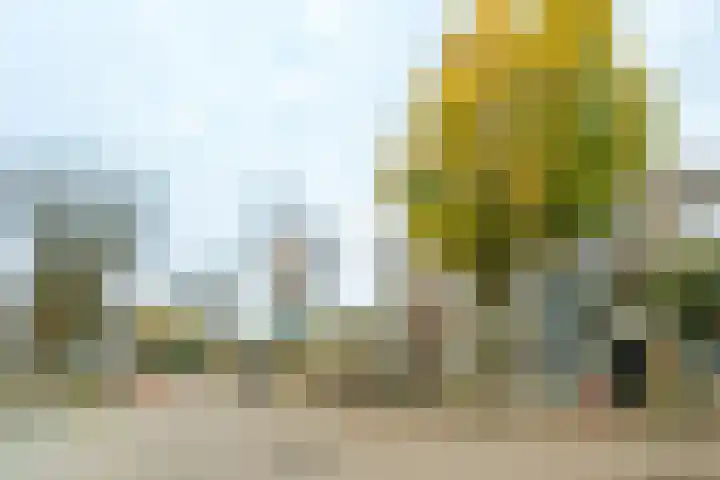 Jagerlaan 25 Zeist thumbnail 22