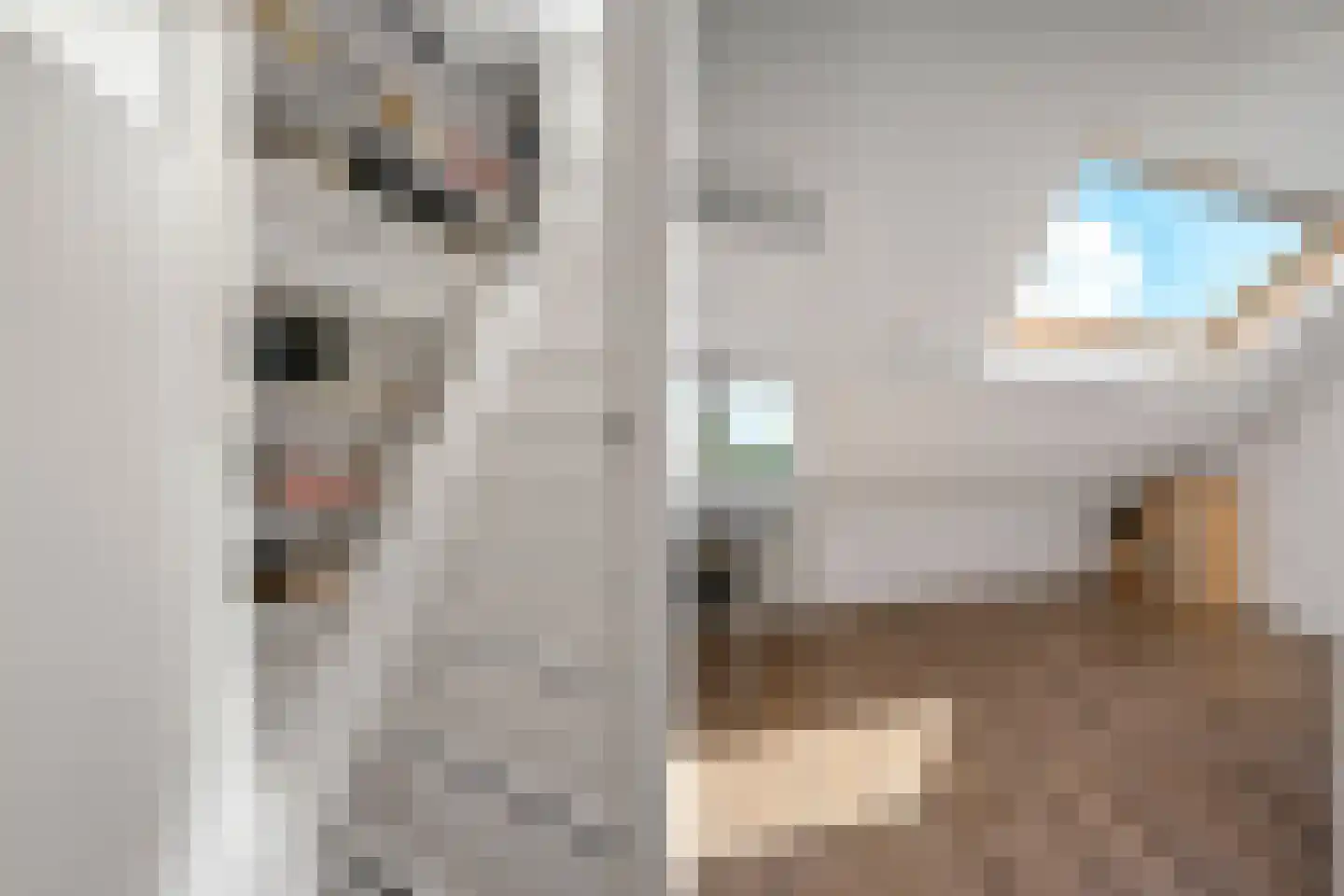 Jagerlaan 37 Zeist thumbnail 23