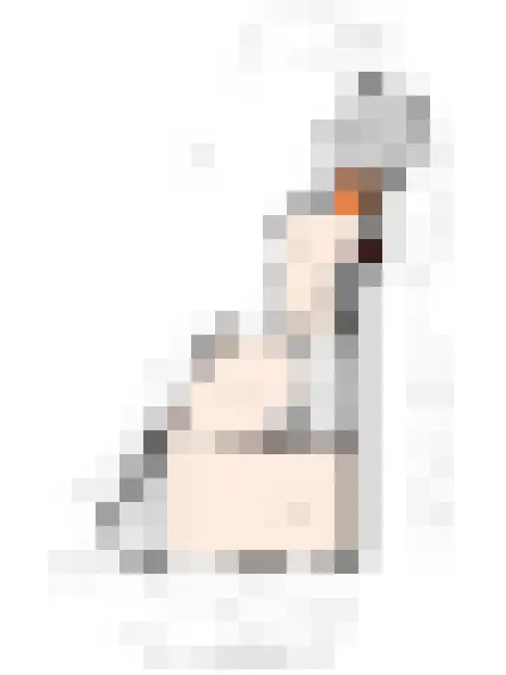 Jagerlaan 46 Zeist thumbnail 28