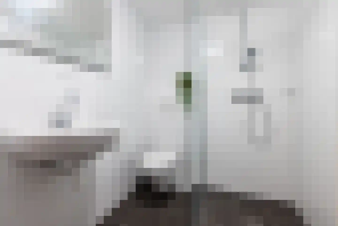 Jagerlaan 50 Zeist thumbnail 19