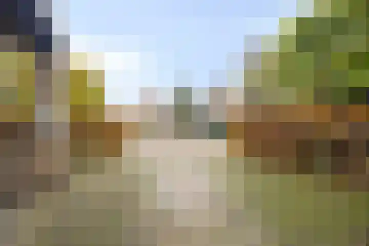 Jagersberg 62 Roosendaal thumbnail 8