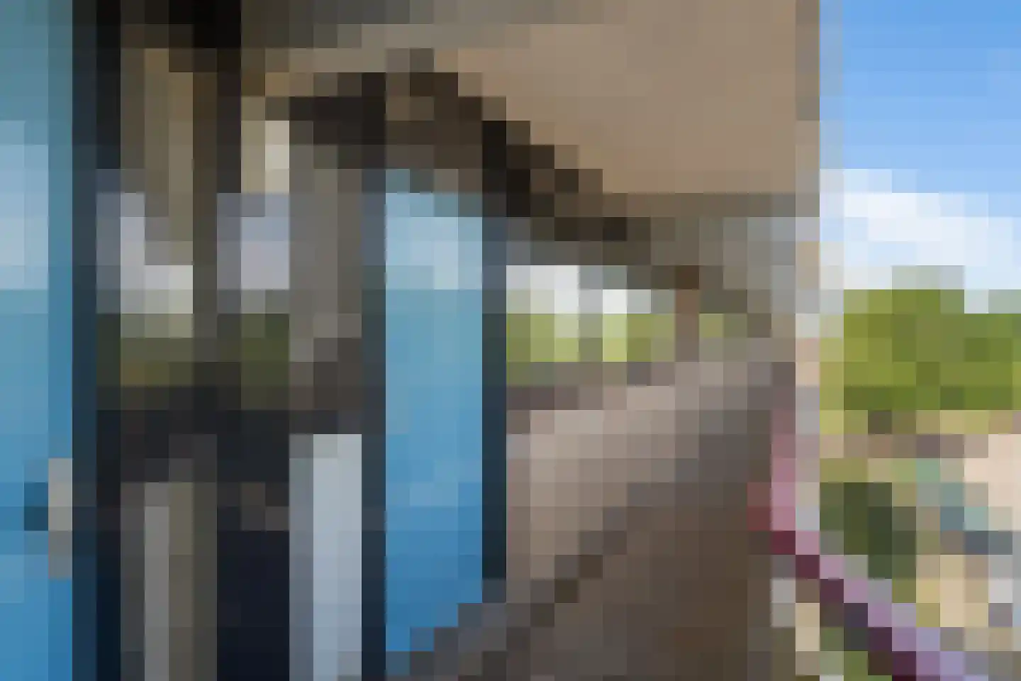 Jagersbos 64 Zoetermeer thumbnail 15