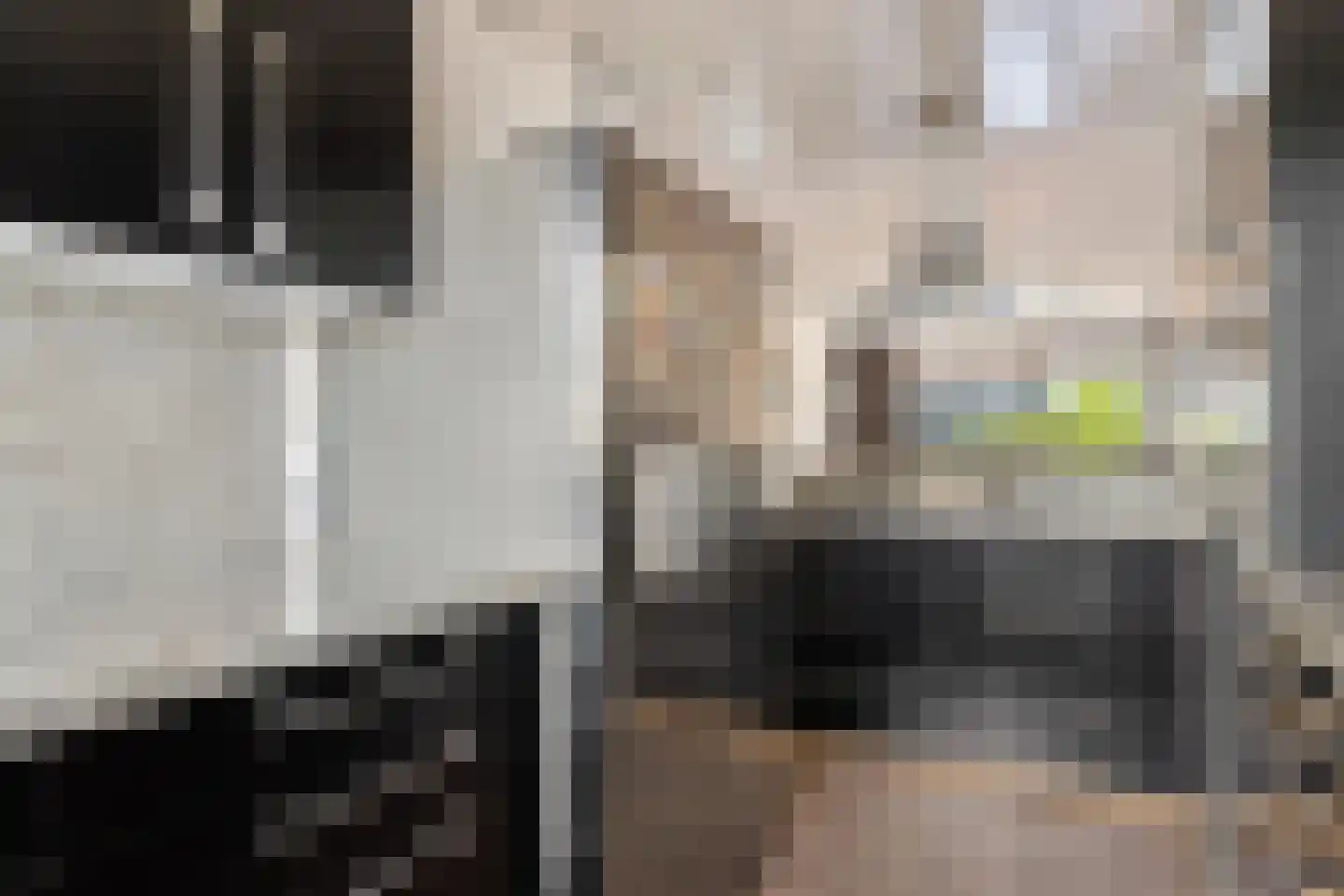 Jagersbos 64 Zoetermeer thumbnail 24