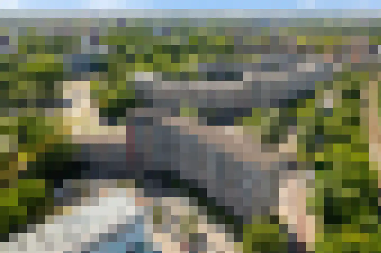 Jagersbos 64 Zoetermeer thumbnail 6