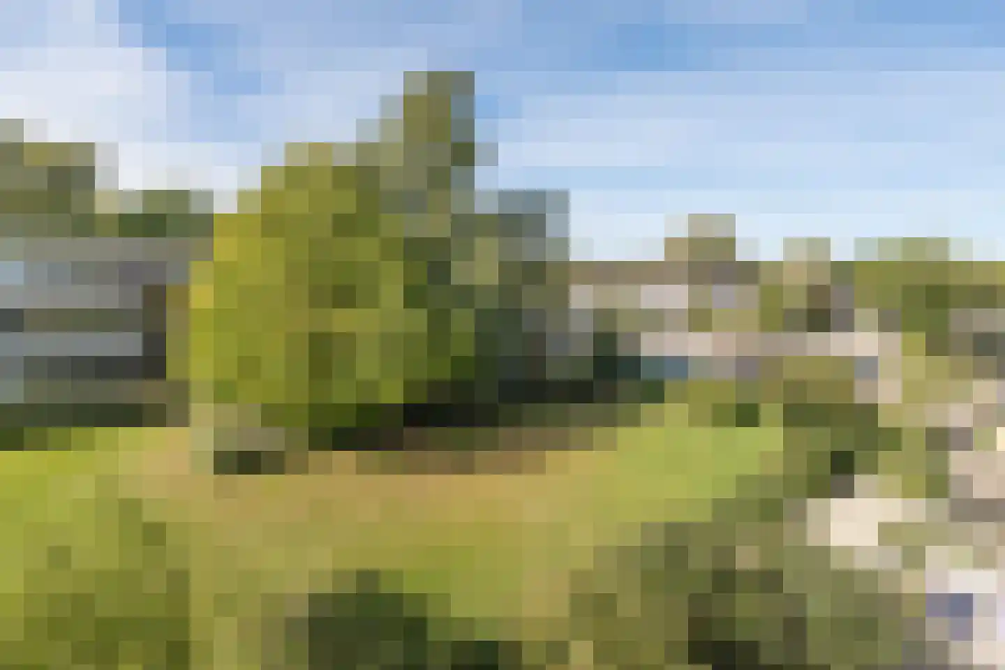 Jagersdreef 103 Driebergen-Rijsenburg thumbnail 10