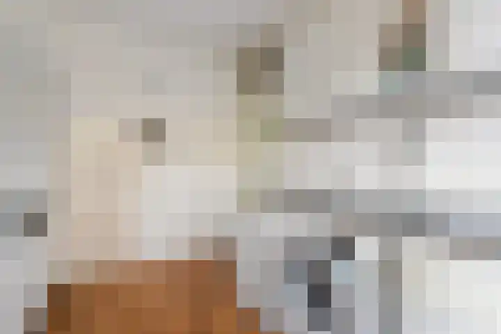 Jagersdreef 109 Driebergen-Rijsenburg thumbnail 11