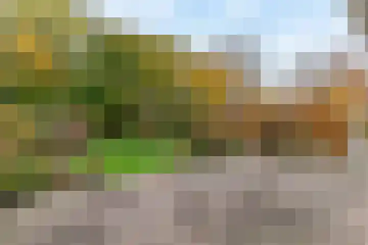 Jagersdreef 109 Driebergen-Rijsenburg thumbnail 18