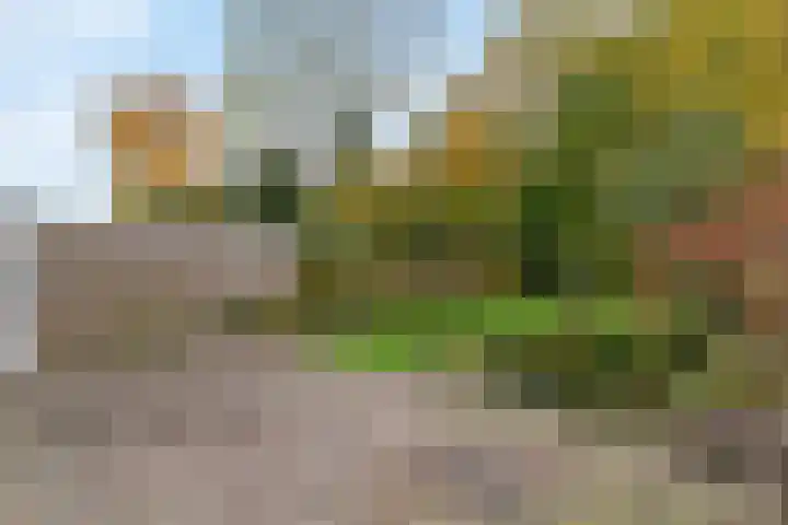 Jagersdreef 109 Driebergen-Rijsenburg thumbnail 19
