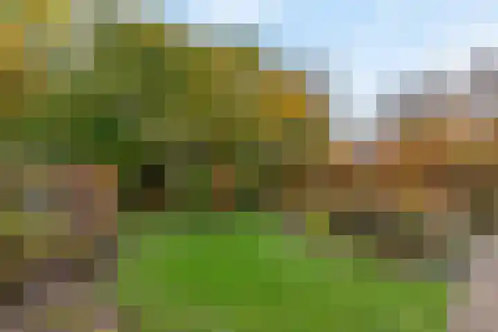 Jagersdreef 109 Driebergen-Rijsenburg thumbnail 21