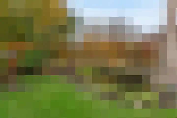Jagersdreef 109 Driebergen-Rijsenburg thumbnail 22