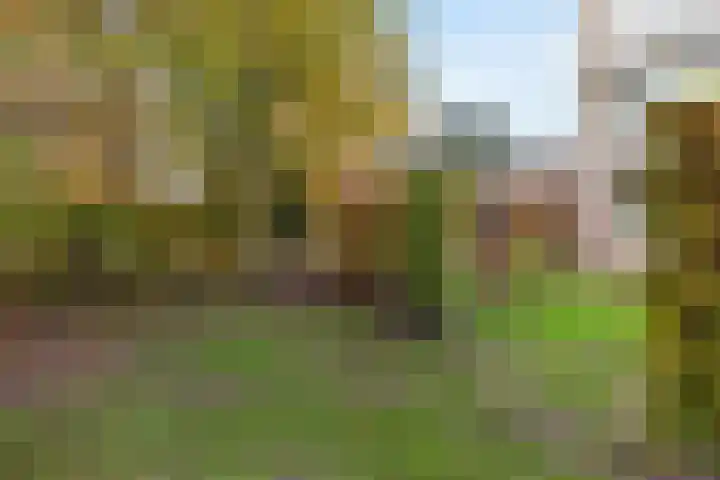 Jagersdreef 109 Driebergen-Rijsenburg thumbnail 25