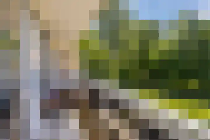 Jagersdreef 21 Driebergen-Rijsenburg thumbnail 10