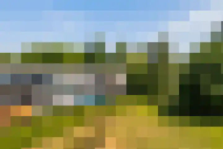 Jagersdreef 21 Driebergen-Rijsenburg thumbnail 24