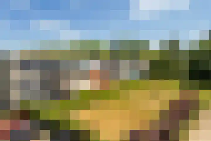 Jagersdreef 21 Driebergen-Rijsenburg thumbnail 25