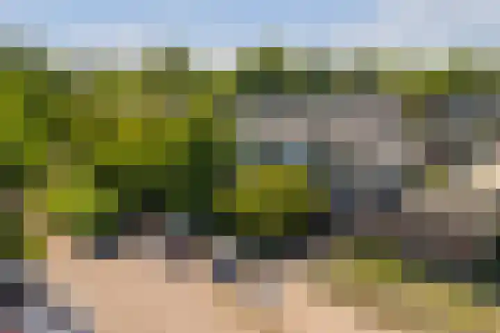 Jagersdreef 21 Driebergen-Rijsenburg thumbnail 29