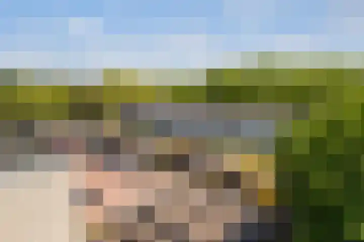 Jagersdreef 21 Driebergen-Rijsenburg thumbnail 30