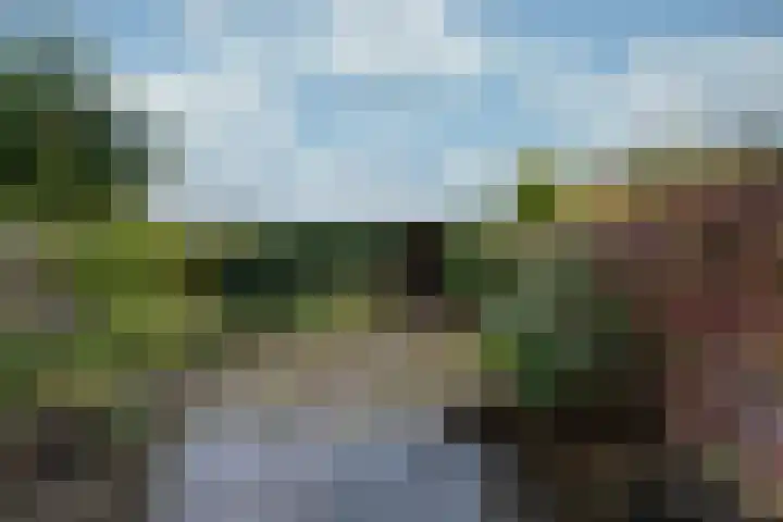 Jagersdreef 24 Driebergen-Rijsenburg thumbnail 18