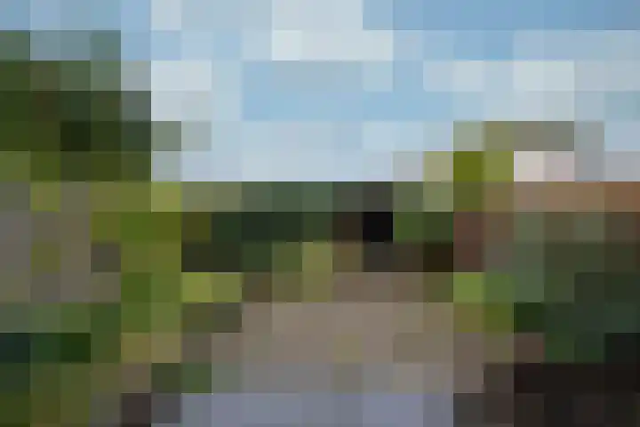 Jagersdreef 24 Driebergen-Rijsenburg thumbnail 19