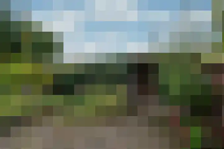 Jagersdreef 24 Driebergen-Rijsenburg thumbnail 20