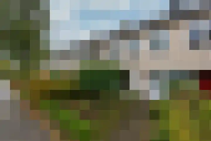 Jagersdreef 24 Driebergen-Rijsenburg thumbnail 4